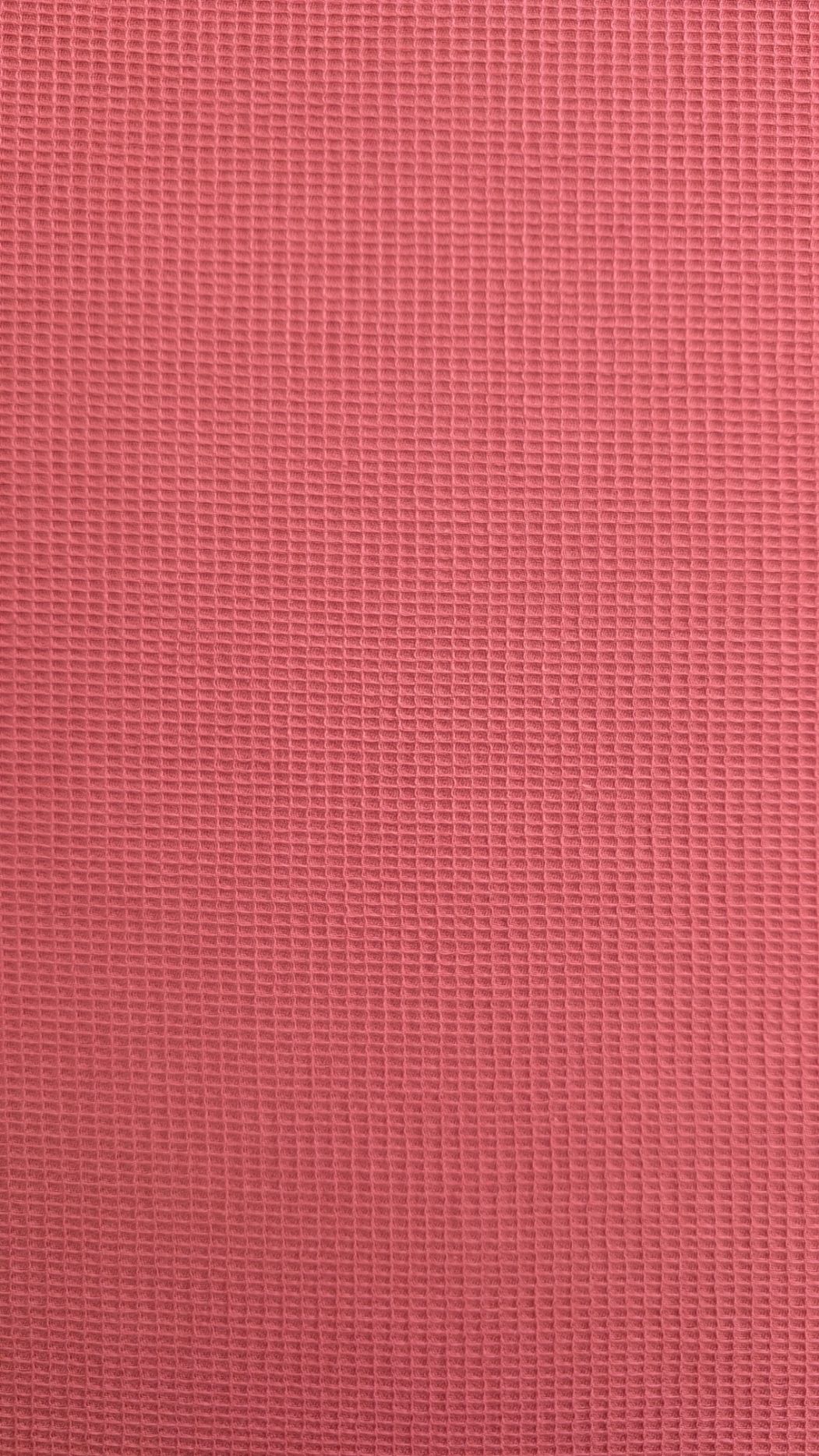 Nid de Puce Rose – Image 3