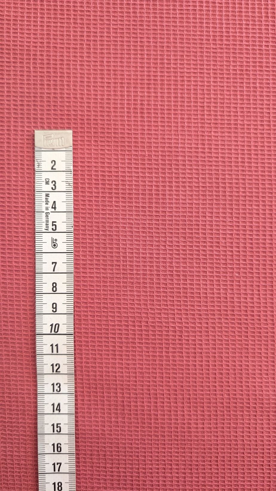 Nid de Puce Rose – Image 2